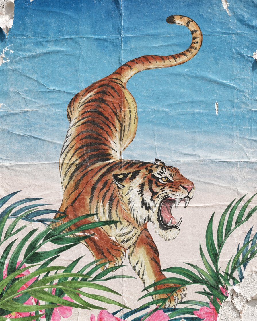Jungle Playlist | The Soundtrack to Sea Street Spring 2026